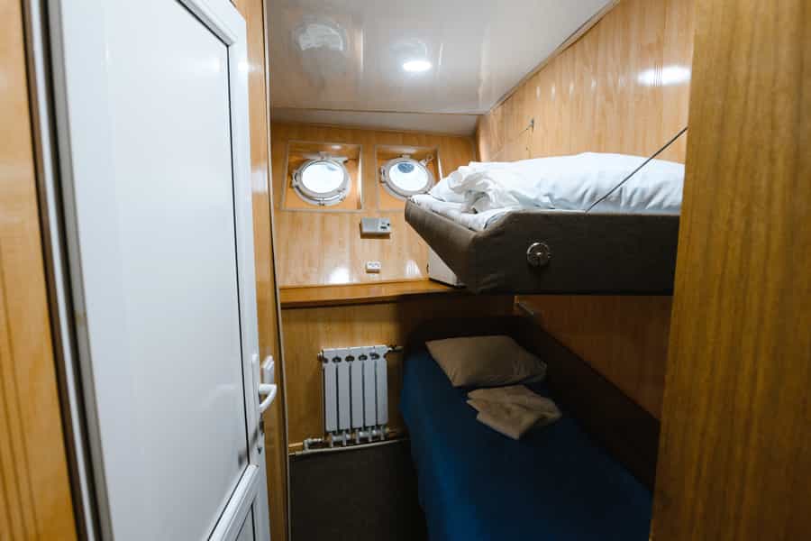 cruiseImg0