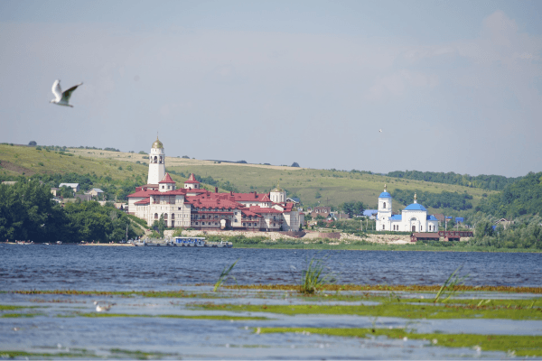 Винновка