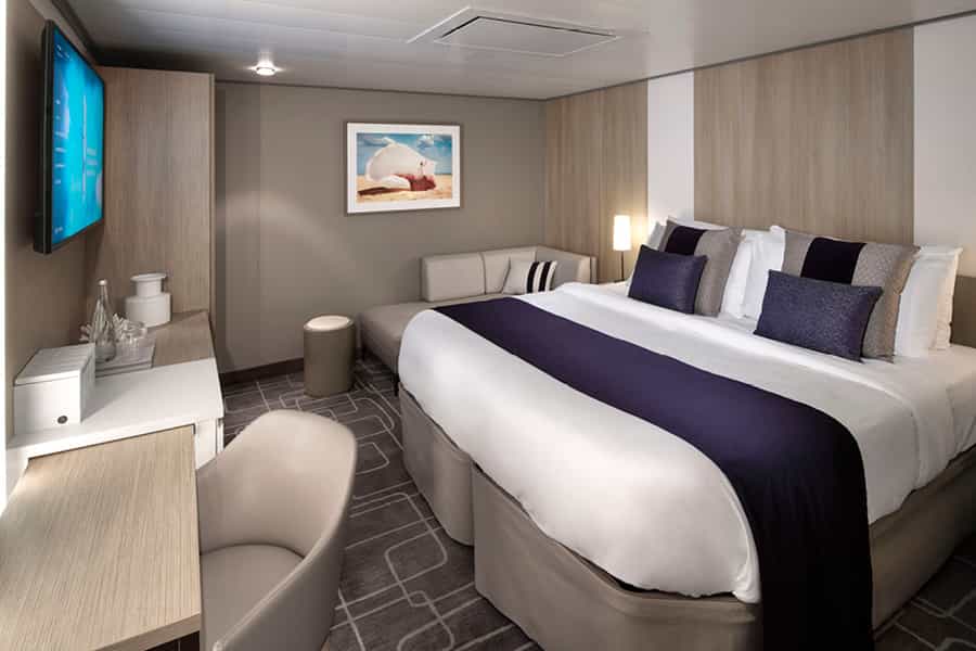 cruiseImg0