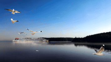 cruiseImg0