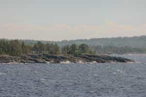 cruiseImg0